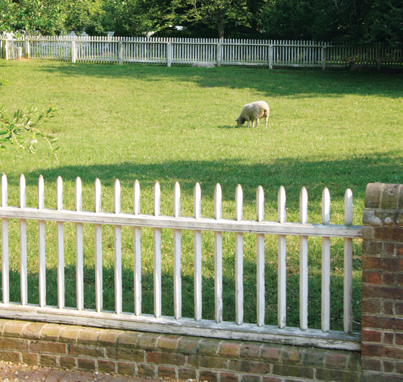 Fencing For Creatures Great And Small